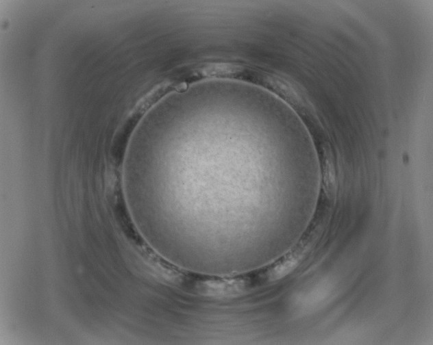 X0000080710367200612151140