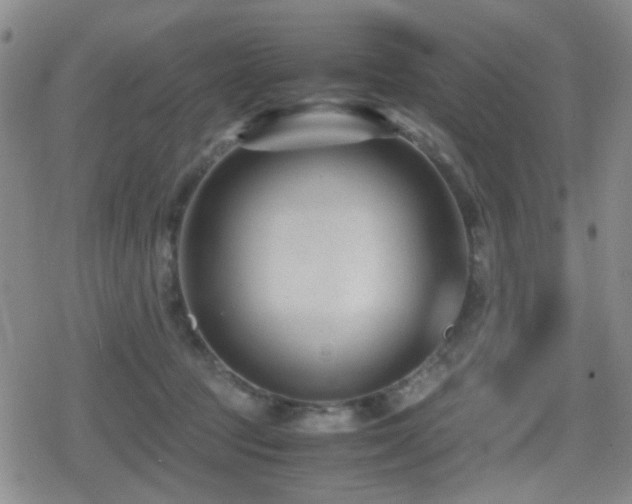 X0000080710369200612151140