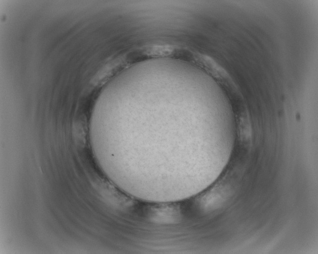 X0000080710370200612151140