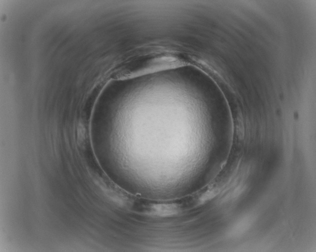 X0000080710371200612151140