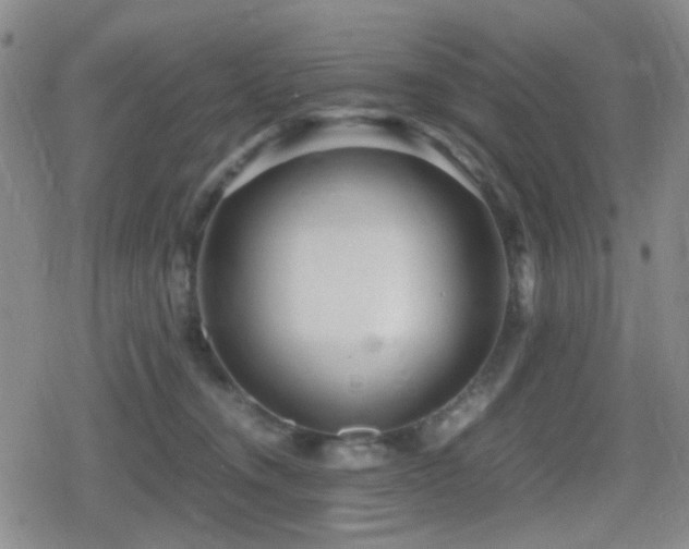 X0000080710372200612151140