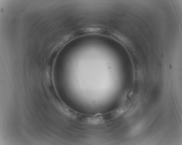 X0000080710373200612151140