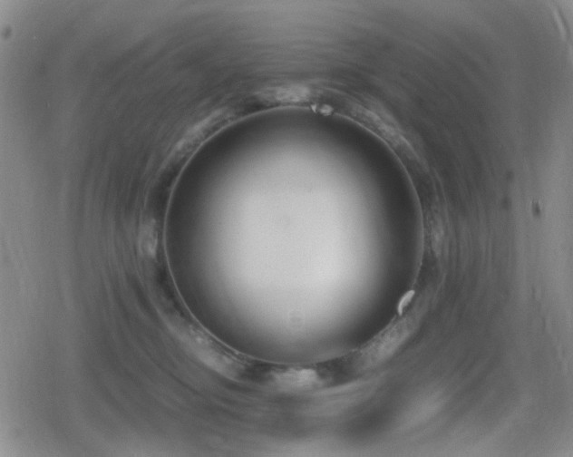 X0000080710374200612151140