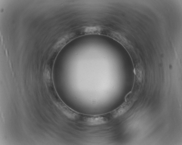 X0000080710375200612151140