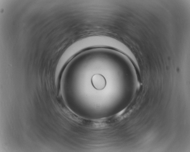 X0000080710376200612151140