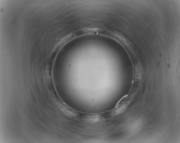 X0000080710377200612151140