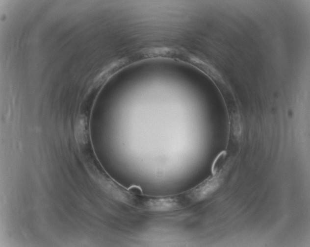 X0000080710378200612151140