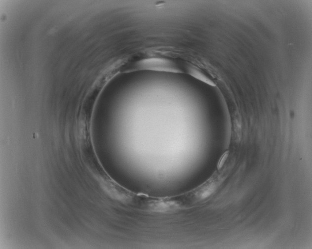 X0000080710379200612151140