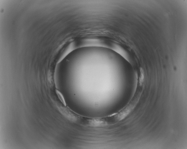 X0000080710380200612151140