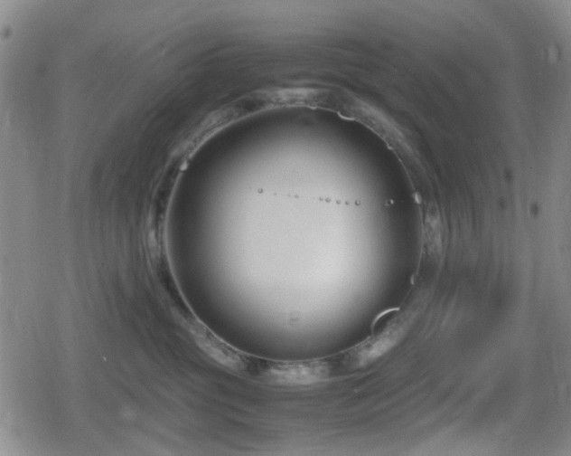 X0000080710381200612151140