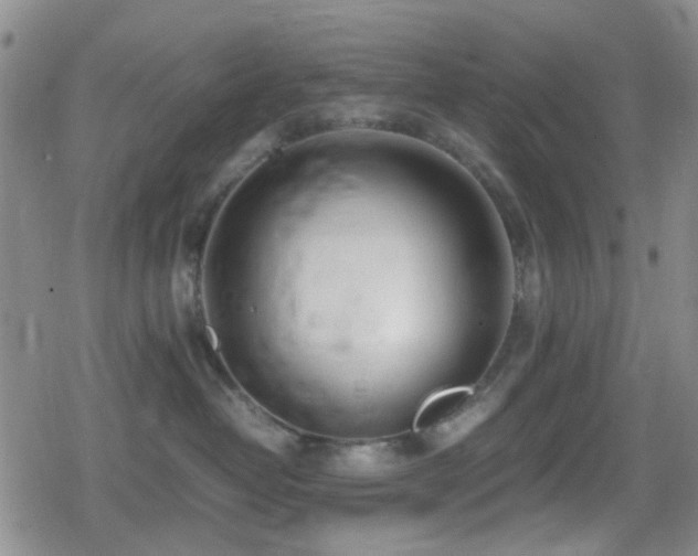 X0000080710382200612151140