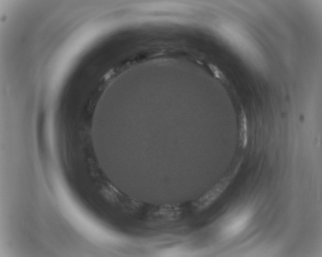 X0000080710383200612151140