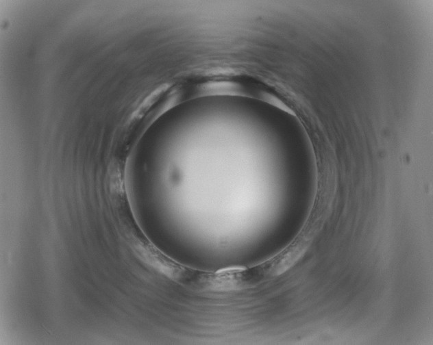 X0000080710384200612151140