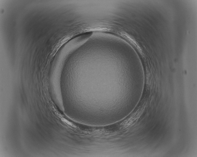 X0000080710385200612151139