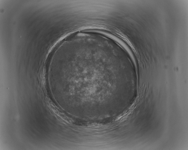 X0000080710387200612151139