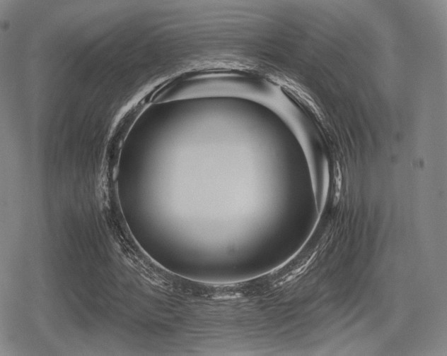 X0000080710388200612151139