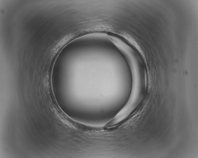 X0000080710389200612151139