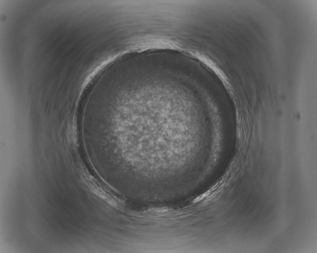 X0000080710391200612151139