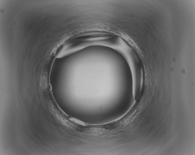 X0000080710393200612151139