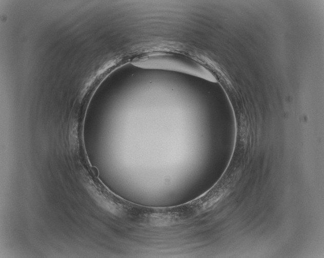 X0000080710394200612151139