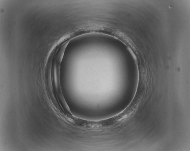 X0000080710395200612151139