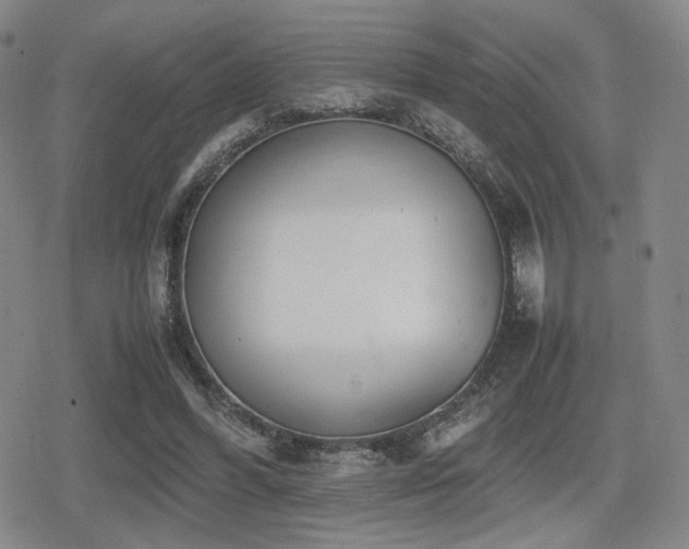 X0000080710396200612151139