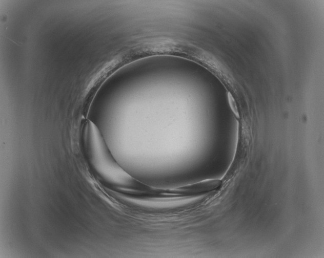 X0000080710397200612151139