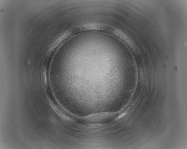 X0000080710398200612151139