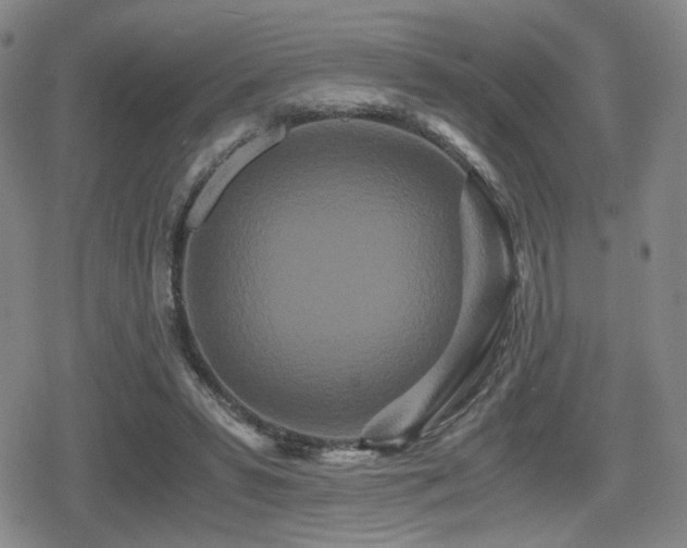 X0000080710399200612151139