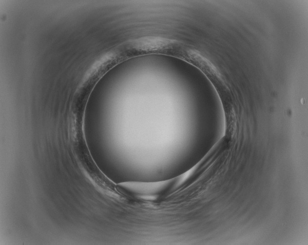 X0000080710400200612151139