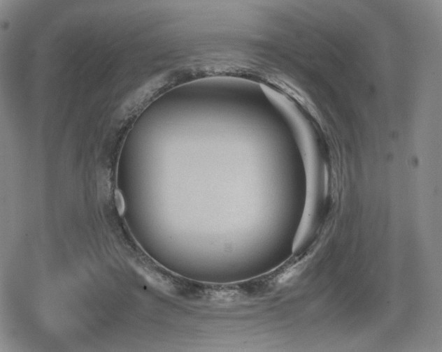 X0000080710401200612151139