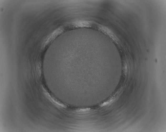 X0000080710402200612151139