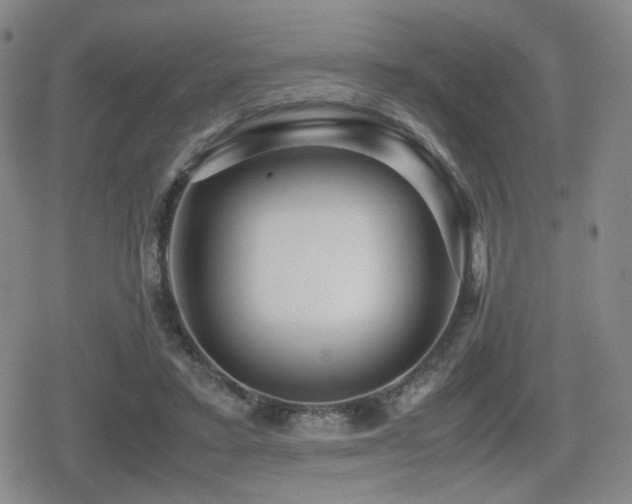 X0000080710403200612151139