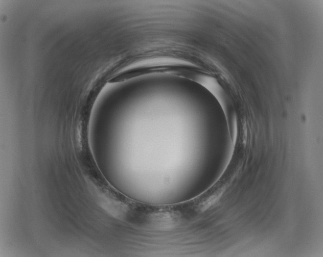 X0000080710404200612151139