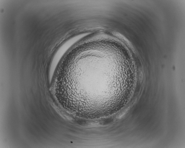 X0000080710405200612151139