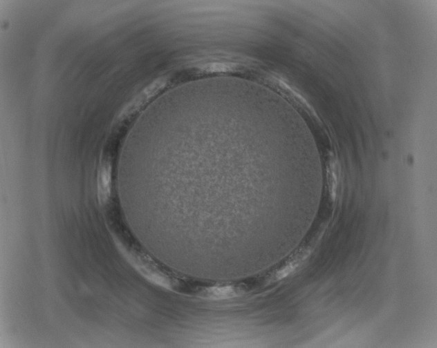 X0000080710406200612151139