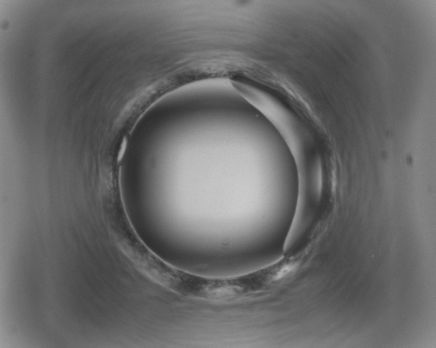 X0000080710407200612151139