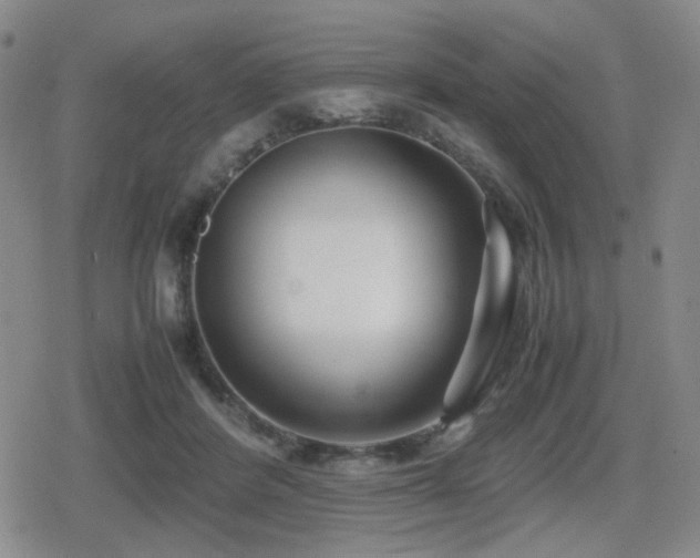 X0000080710408200612151139