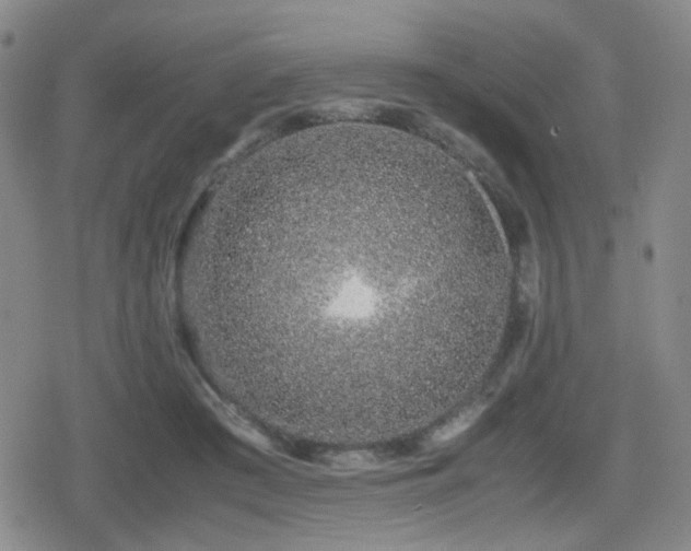 X0000080710409200612151139