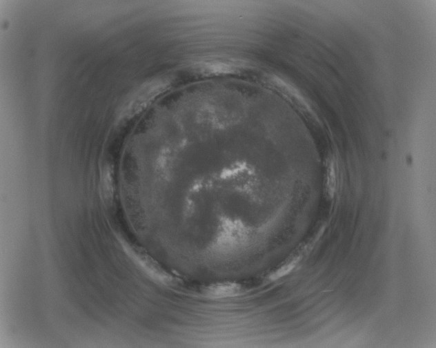 X0000080710410200612151139