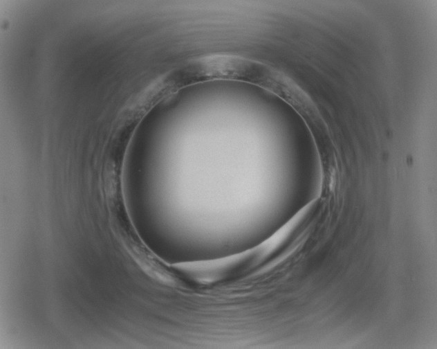 X0000080710413200612151139