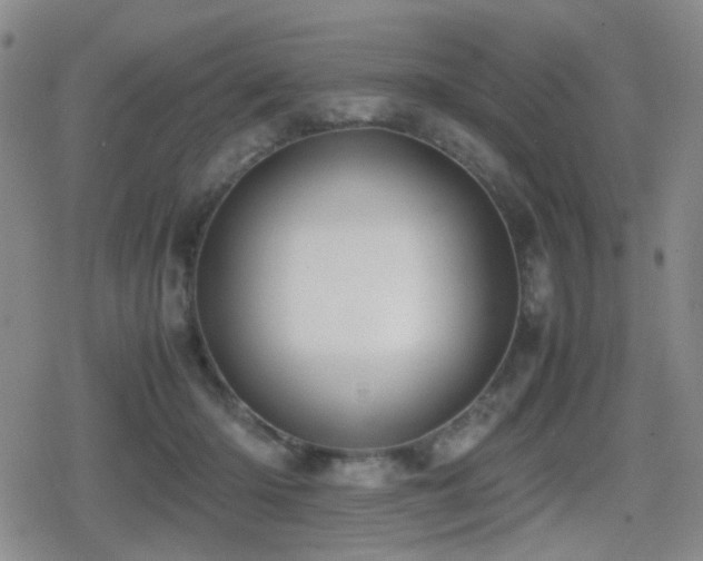 X0000080710414200612151139