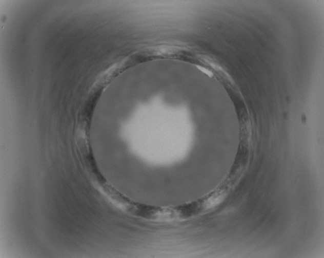 X0000080710415200612151139