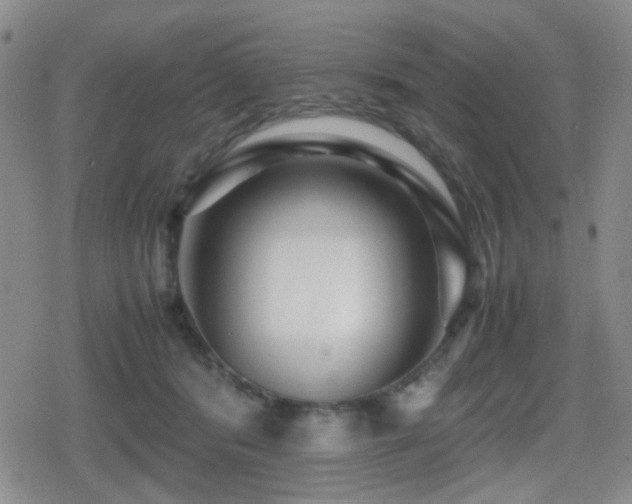 X0000080710416200612151139