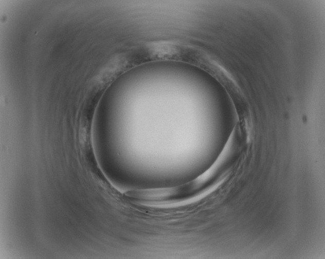 X0000080710417200612151139