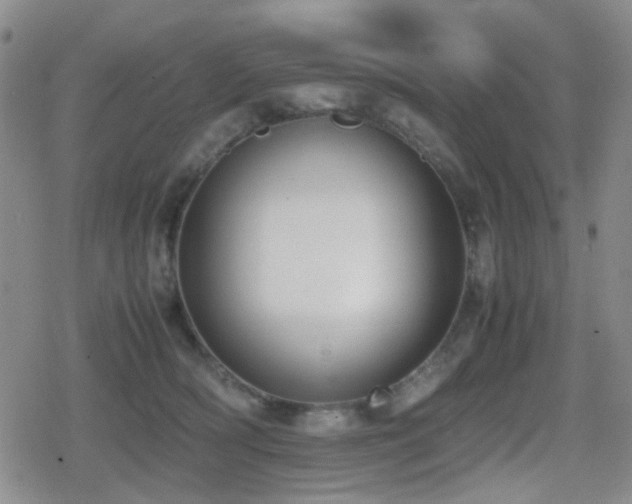 X0000080710418200612151139