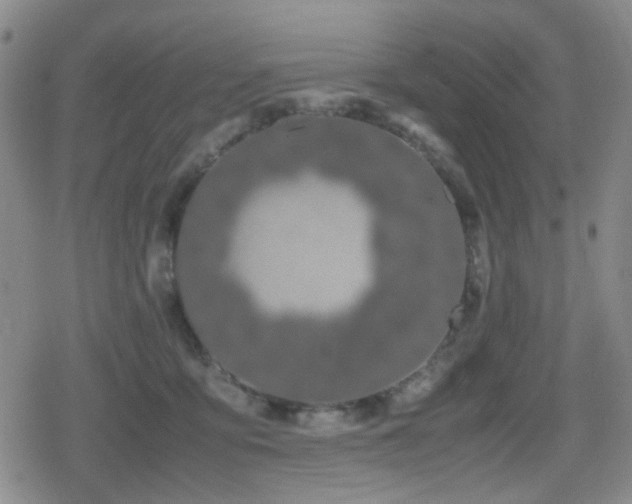 X0000080710419200612151139