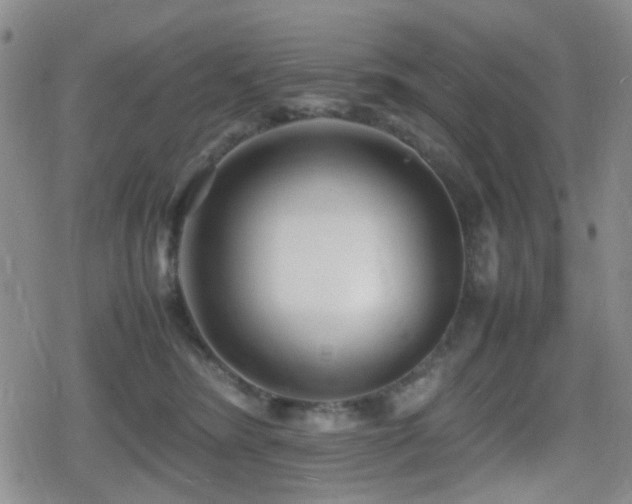 X0000080710420200612151139