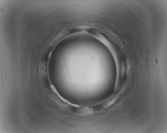 X0000080710421200612151139