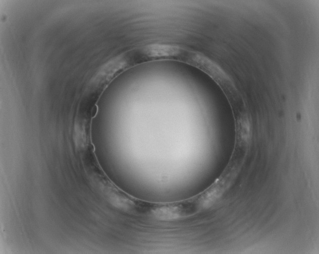 X0000080710422200612151138